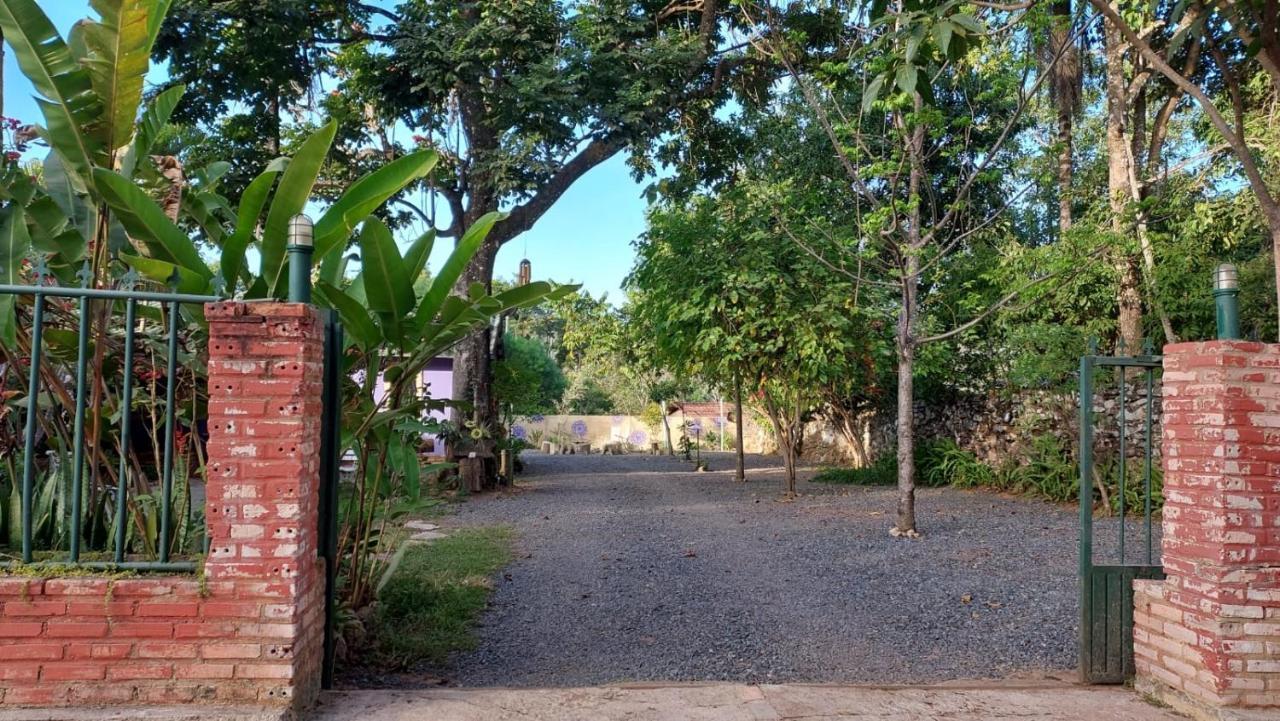 Pousada Linda Flor Bed and Breakfast Alto Paraíso de Goiás Exteriör bild
